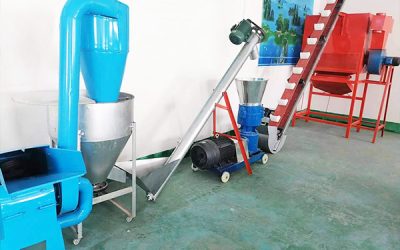 pellet machine production line