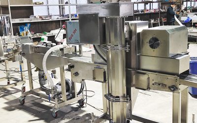 Meat Patty Production Line