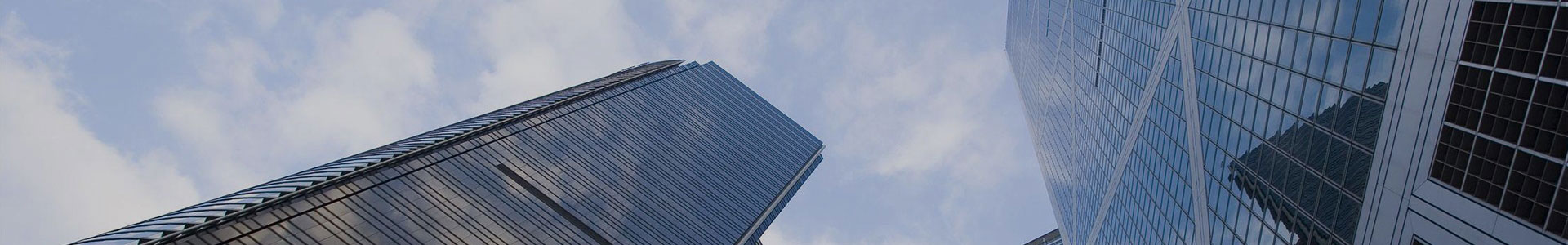 Transaction Case of Horizontal Mixer for Australian Customer